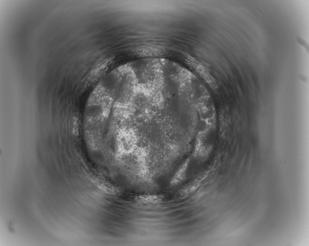 X0000096140161200802081356