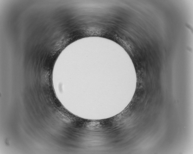 X0000096140162200802081356