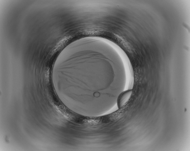 X0000096140163200802081356