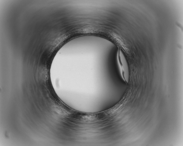 X0000096140164200802081356