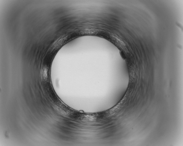 X0000096140166200802081356