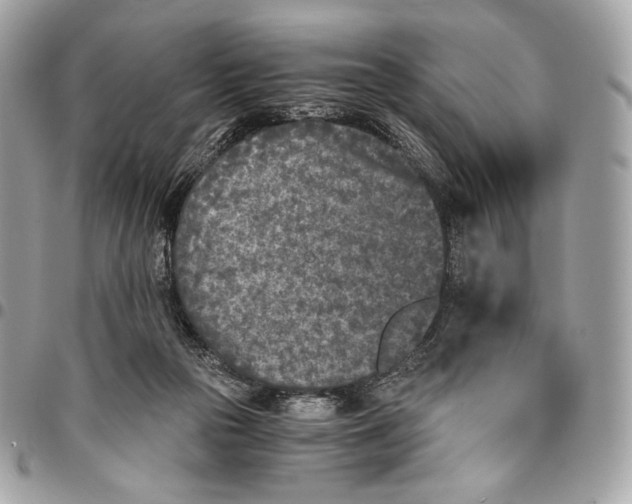 X0000096140169200802081356
