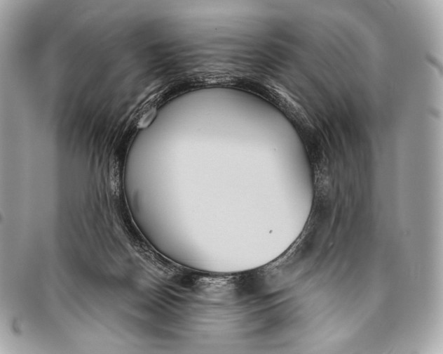 X0000096140170200802081356
