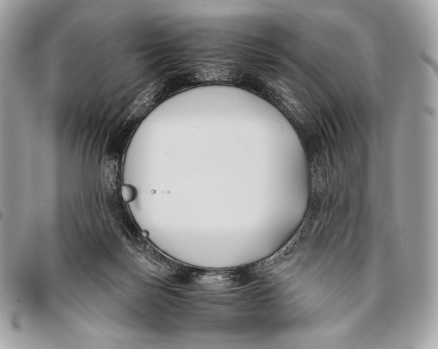 X0000096140171200802081356