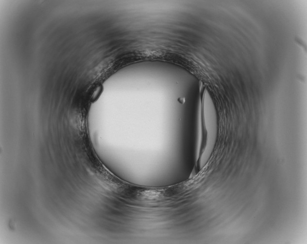 X0000096140176200802081356