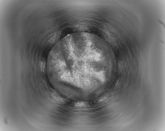 X0000096140177200802081356