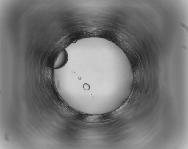 X0000096140178200802081356