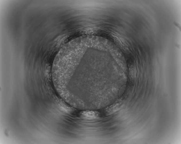 X0000096140181200802081356