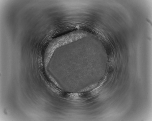 X0000096140182200802081356