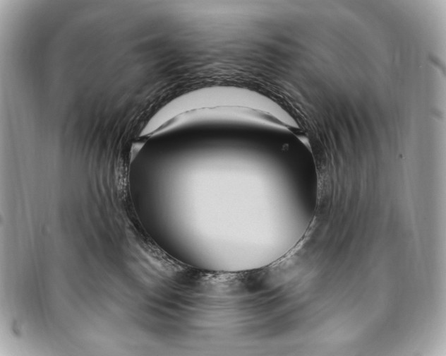 X0000096140186200802081356