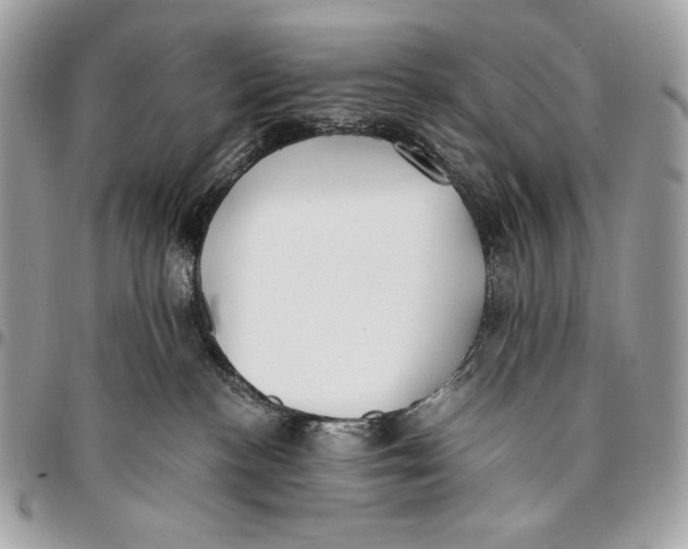 X0000096140188200802081356