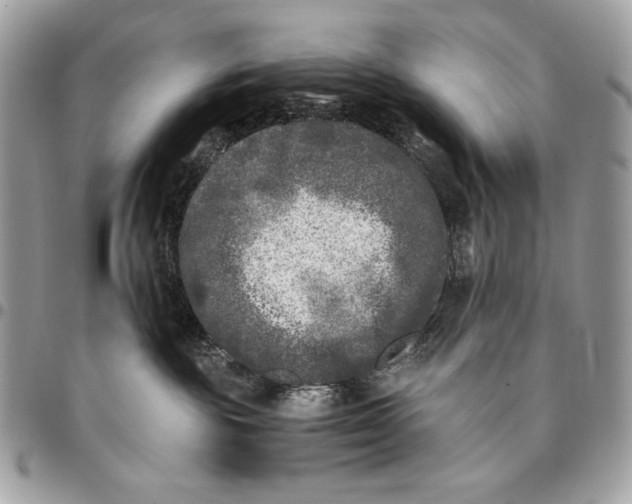X0000096140189200802081356