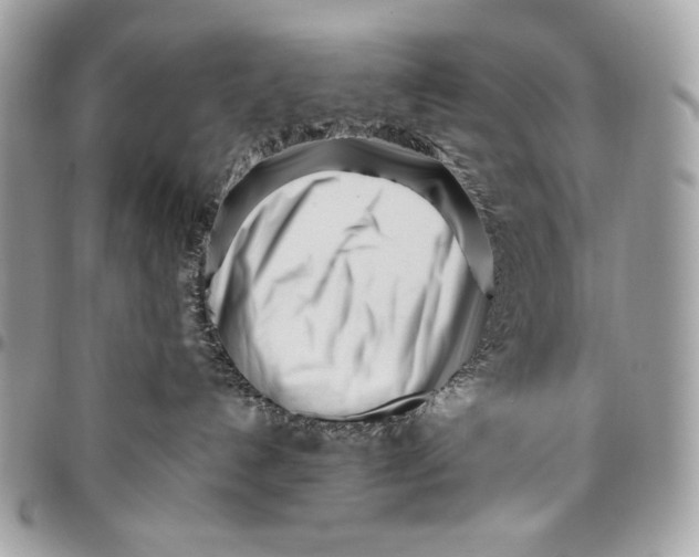 X0000096140192200802081357