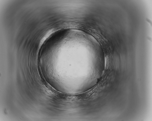 X0000096140195200802081356