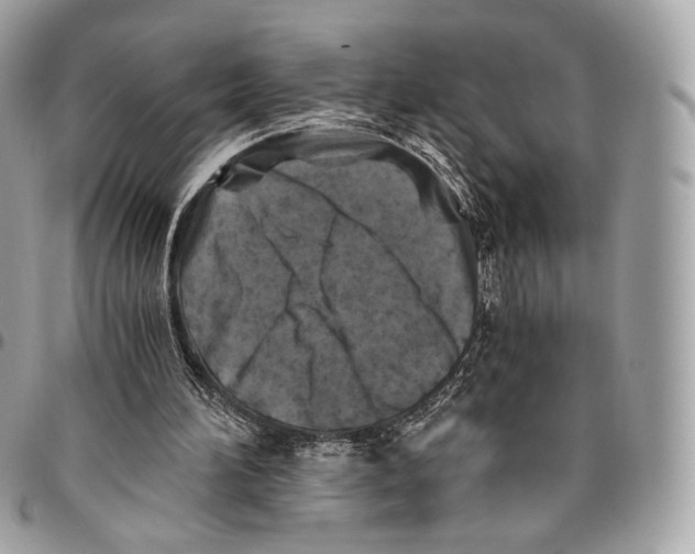 X0000096140196200802081356
