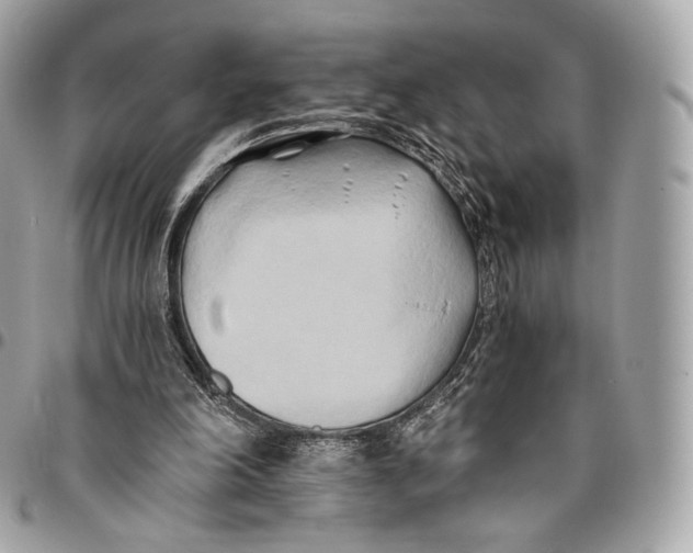 X0000096140198200802081356