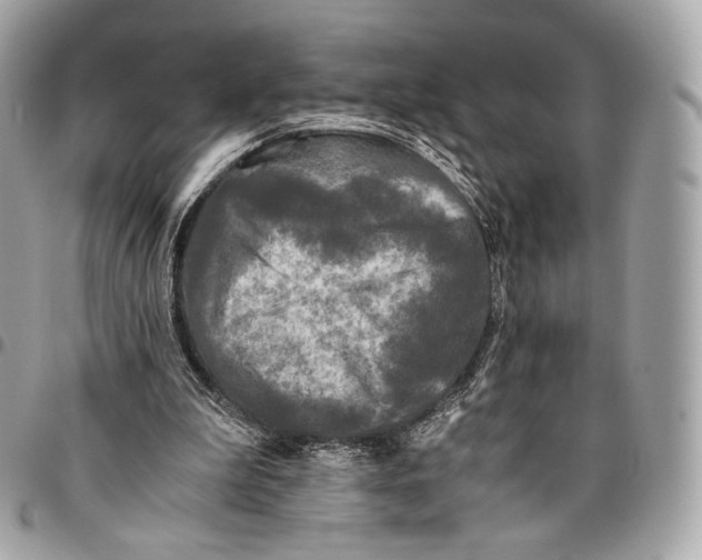 X0000096140199200802081356