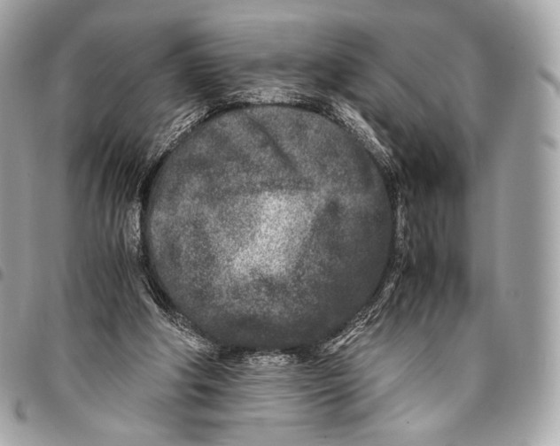 X0000096140202200802081356