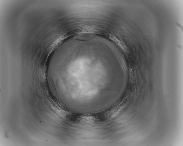 X0000096140203200802081356