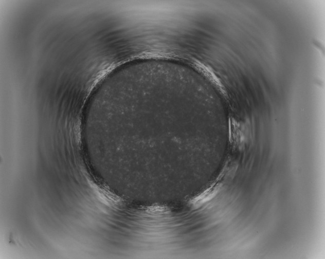 X0000096140204200802081356