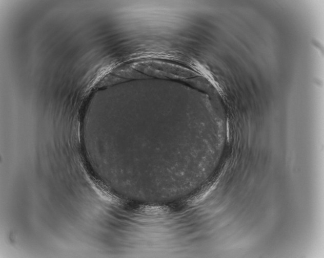 X0000096140205200802081356