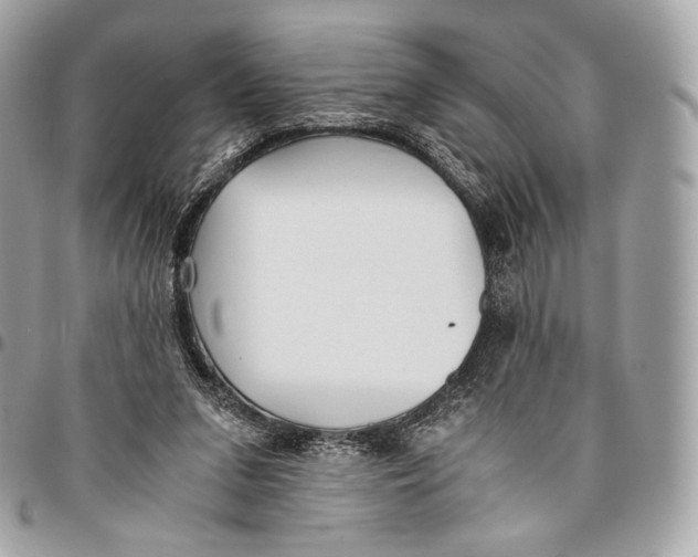 X0000096140207200802081356