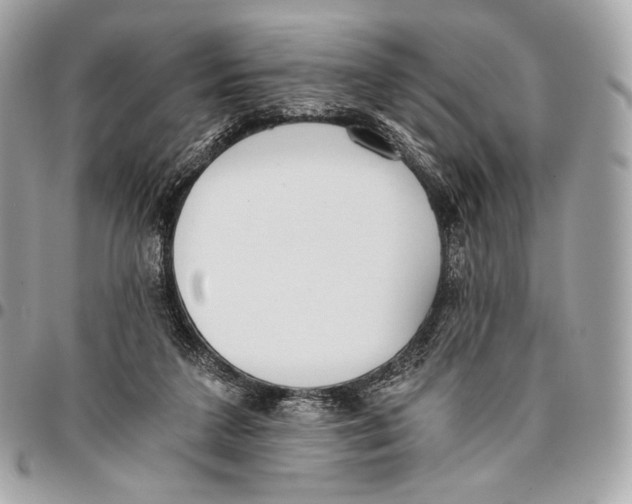 X0000096140211200802081356