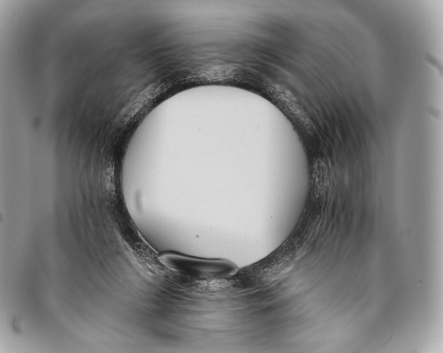 X0000096140212200802081356