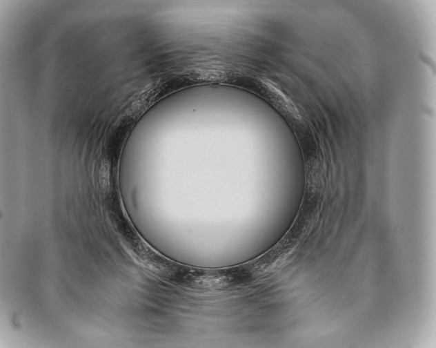 X0000096140213200802081356
