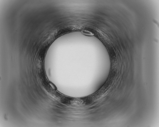 X0000096140215200802081356
