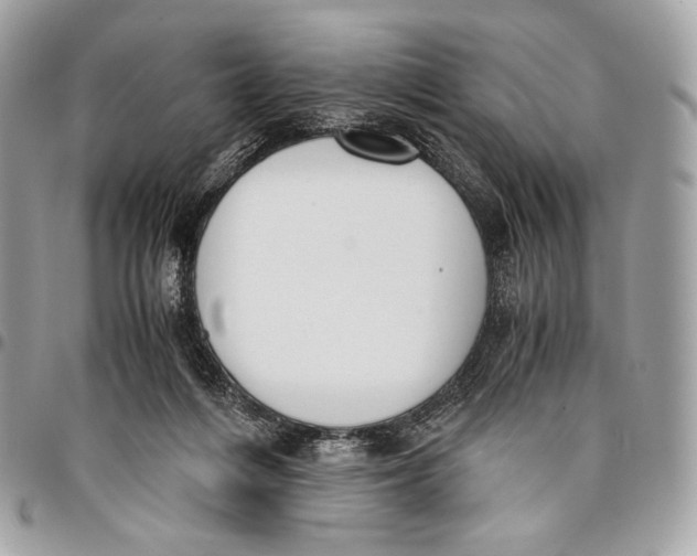 X0000096140216200802081355