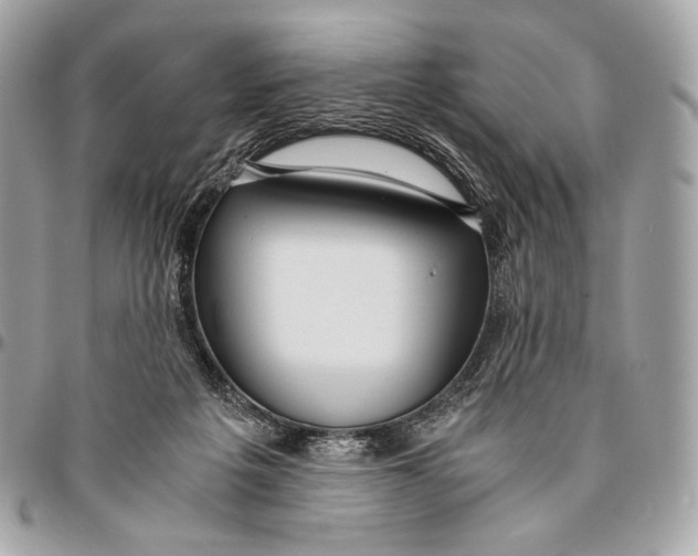 X0000096140217200802081355