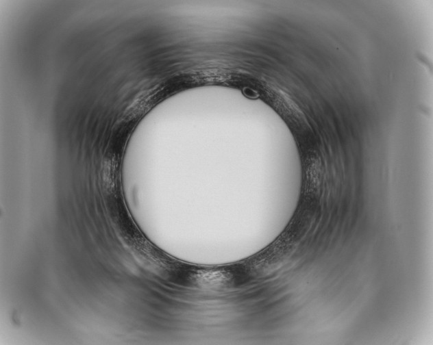X0000096140218200802081355
