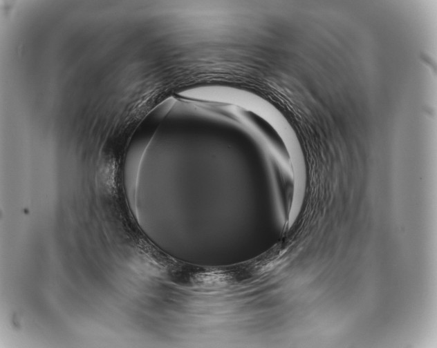 X0000096140219200802081355
