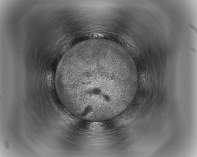 X0000096140222200802081355