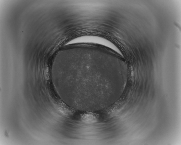 X0000096140224200802081355