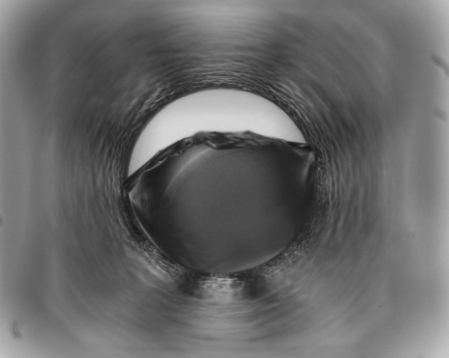 X0000096140227200802081355