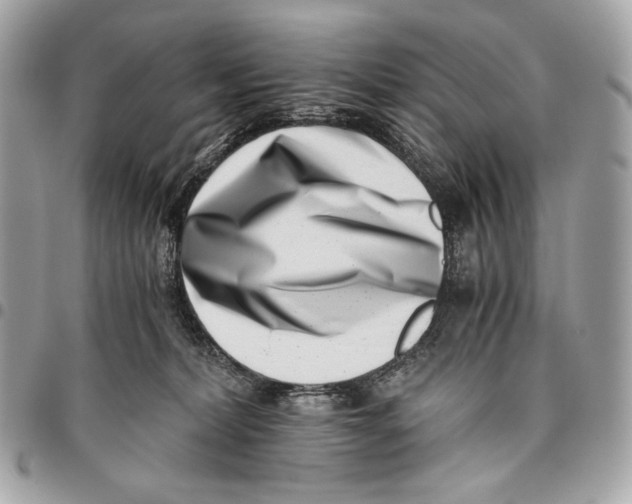 X0000096140228200802081355