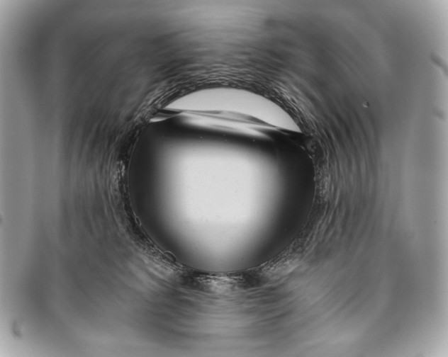 X0000096140229200802081355