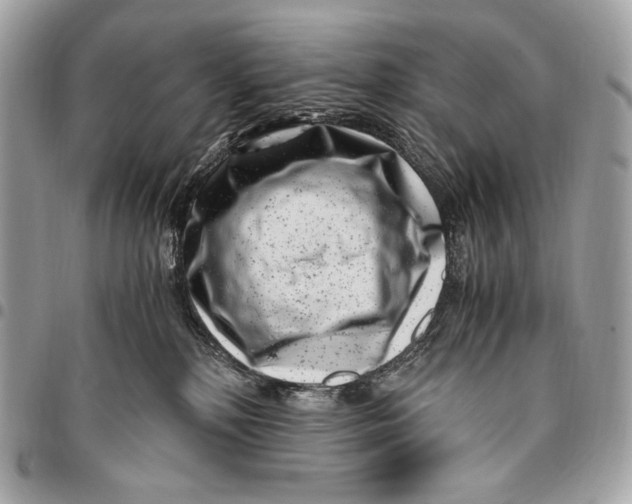 X0000096140232200802081355