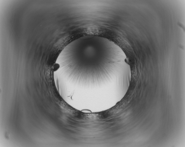 X0000096140233200802081355