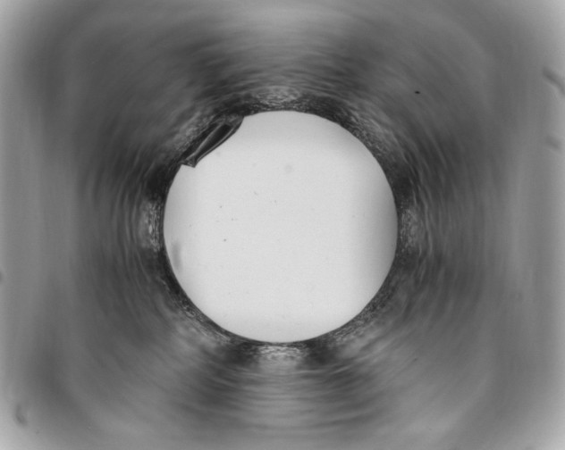 X0000096140234200802081355