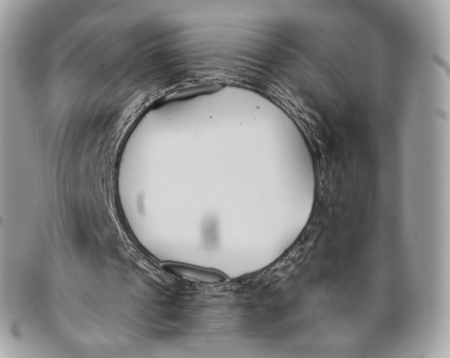 X0000096140241200802081354
