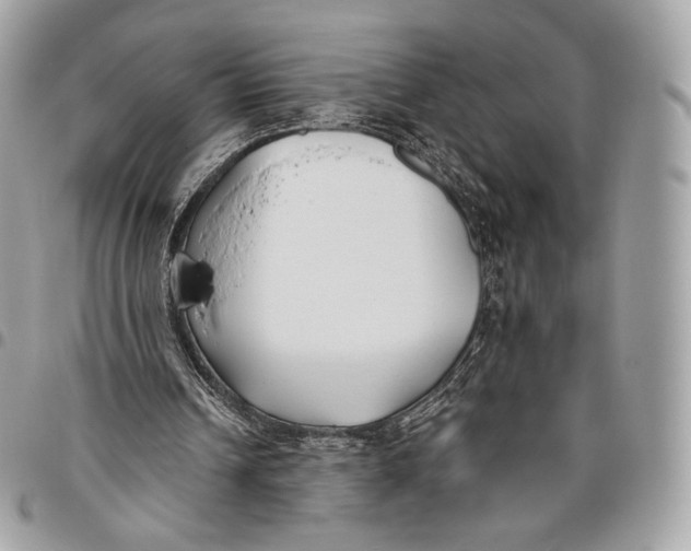 X0000096140242200802081354