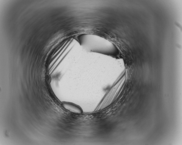X0000096140243200802081354