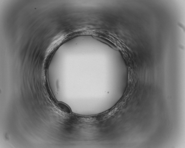 X0000096140245200802081354