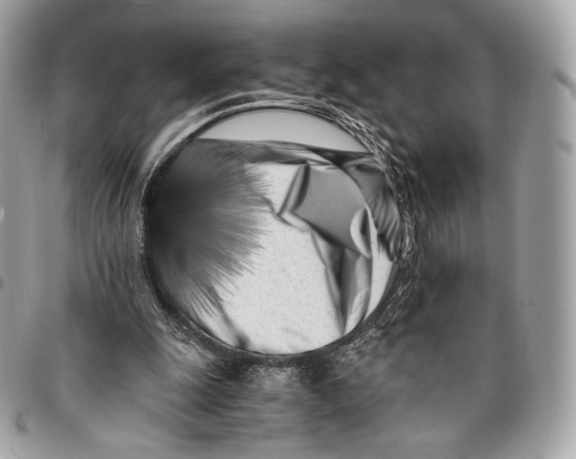 X0000096140247200802081354