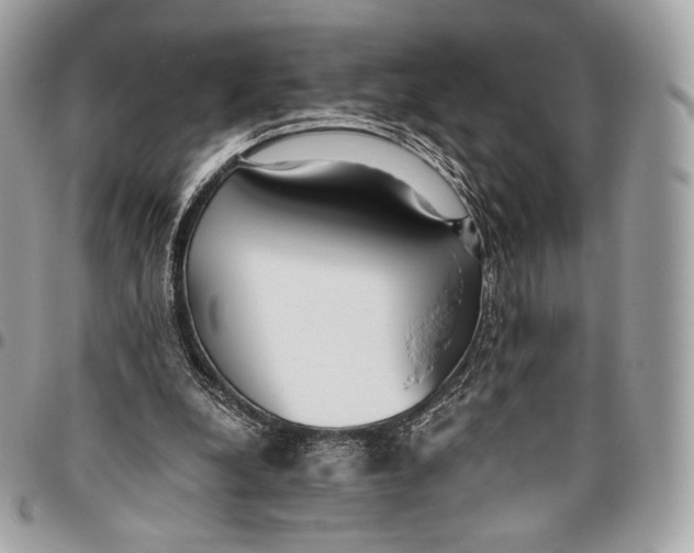 X0000096140248200802081354