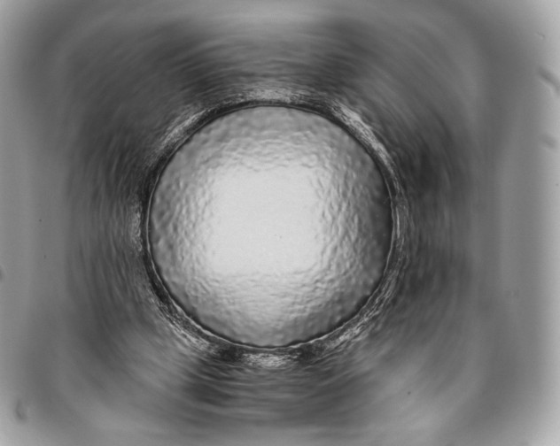X0000096140249200802081354