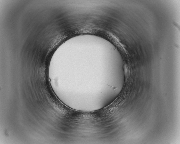 X0000096140250200802081354